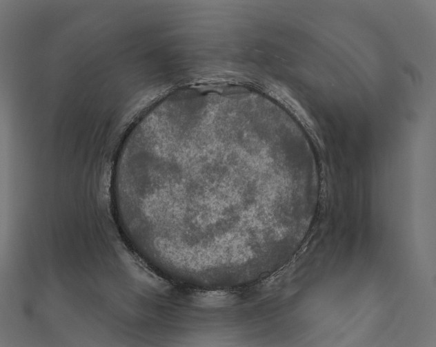X0000111240058200907301315