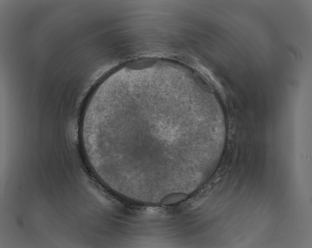 X0000111240060200907301315