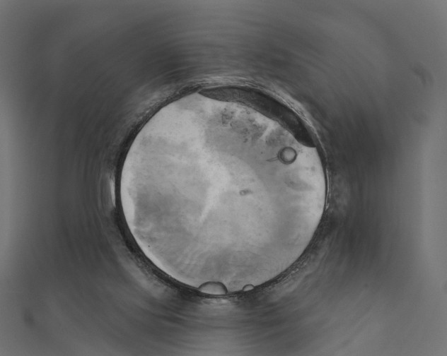 X0000111240061200907301315