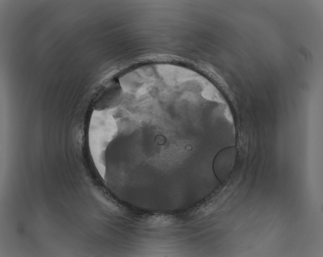 X0000111240063200907301315