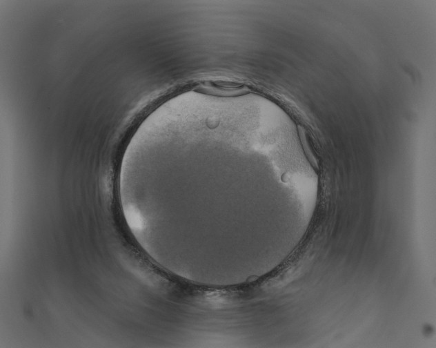 X0000111240064200907301315