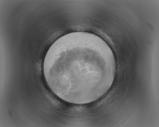 X0000111240065200907301315