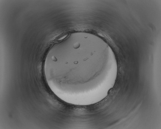 X0000111240066200907301315