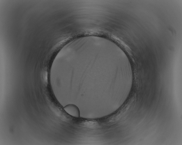 X0000111240067200907301315