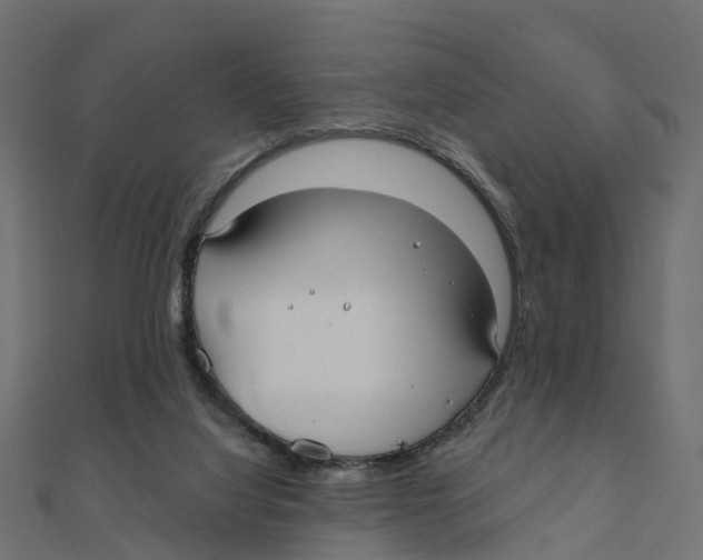 X0000111240068200907301315