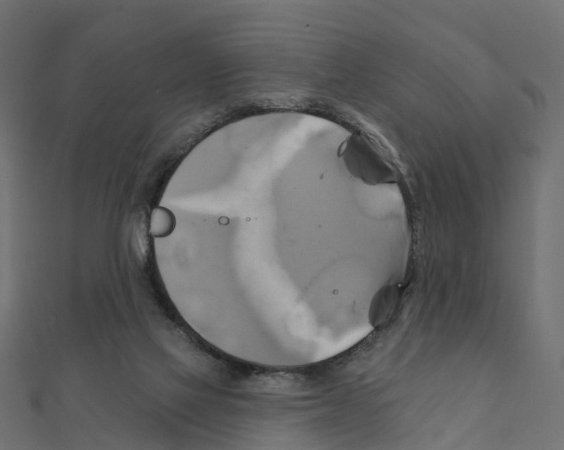 X0000111240069200907301315