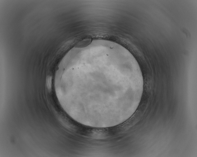 X0000111240070200907301315