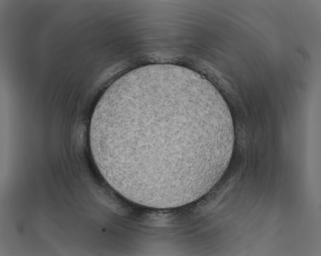 X0000111240071200907301315