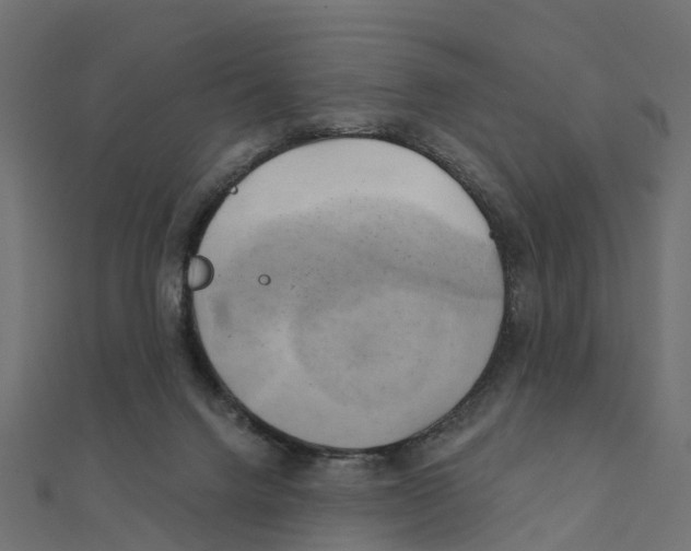 X0000111240072200907301315