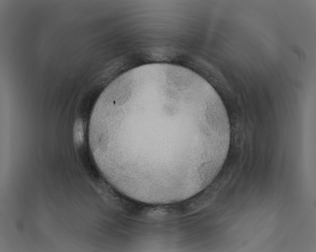 X0000111240075200907301315