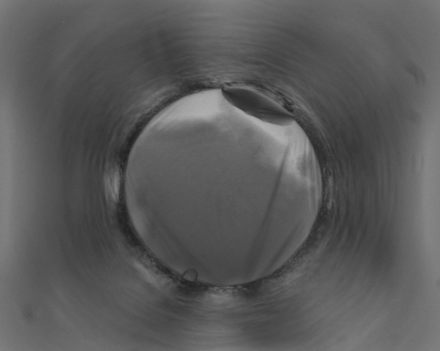 X0000111240076200907301315