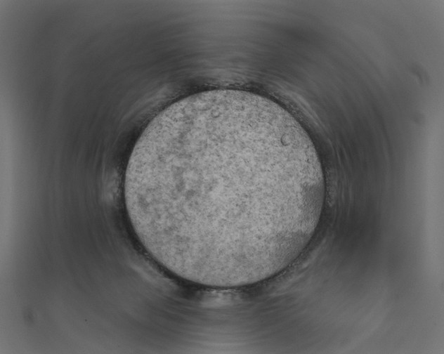 X0000111240077200907301315