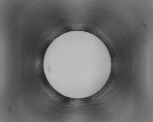 X0000111240079200907301315