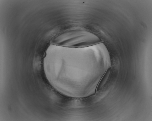 X0000111240080200907301315