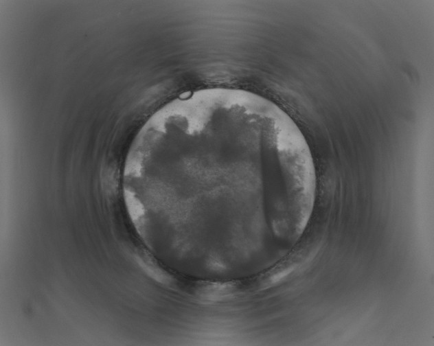 X0000111240081200907301315