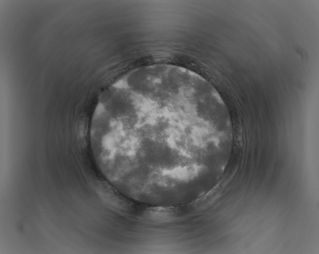 X0000111240082200907301315