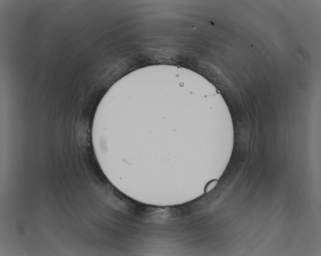 X0000111240083200907301315