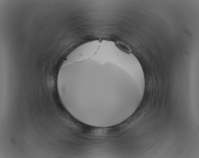 X0000111240084200907301315