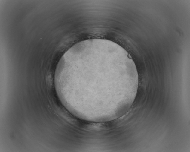 X0000111240086200907301315
