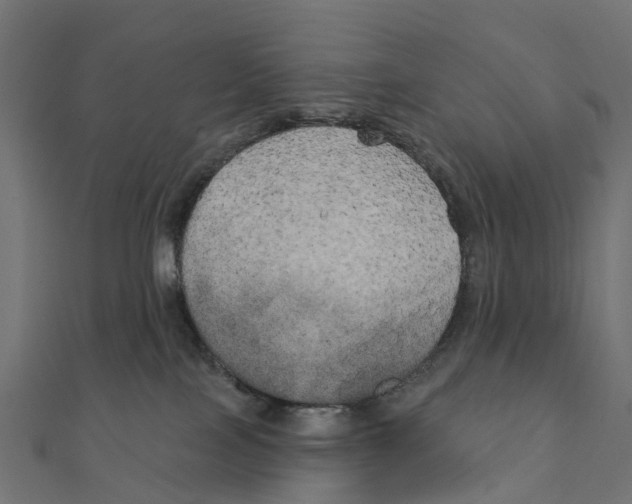 X0000111240089200907301315