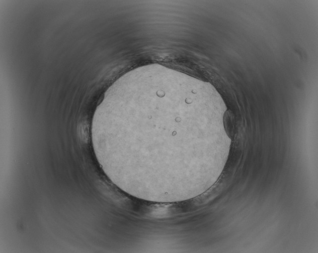 X0000111240090200907301315
