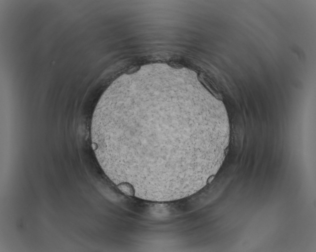 X0000111240091200907301315