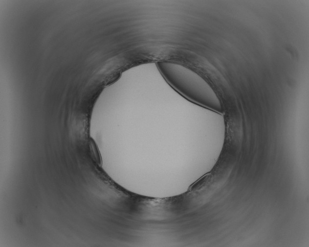 X0000111240092200907301315