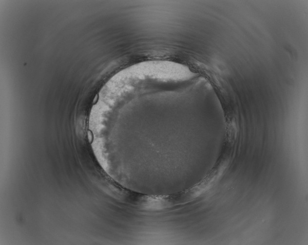 X0000111240093200907301315