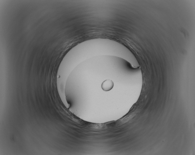 X0000111240096200907301315
