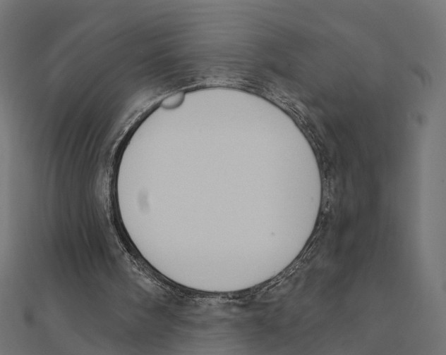 X0000111240098200907301314