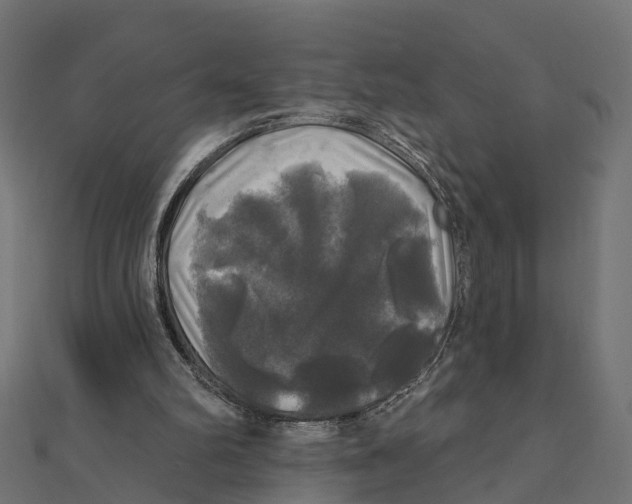X0000111240102200907301314