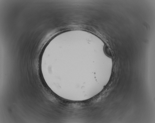 X0000111240103200907301314