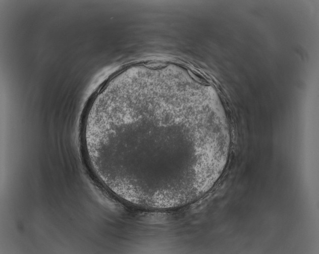 X0000111240104200907301314