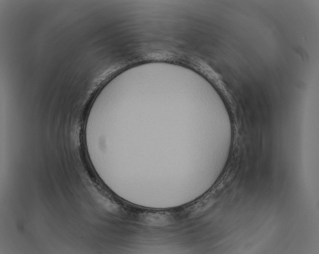 X0000111240106200907301314