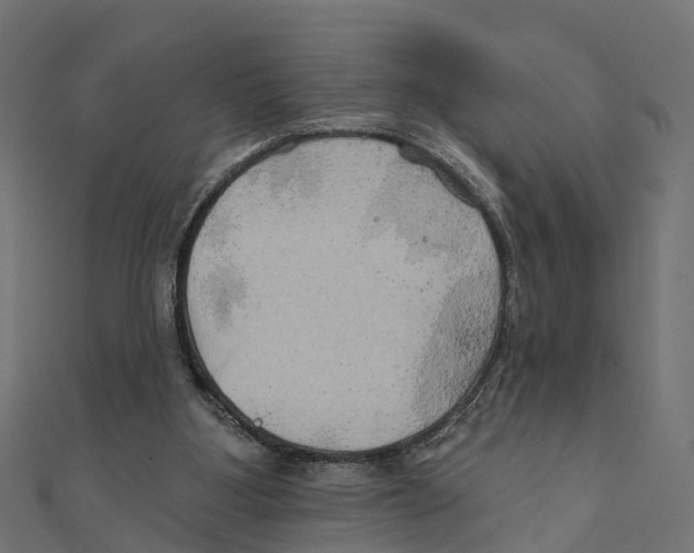 X0000111240107200907301314