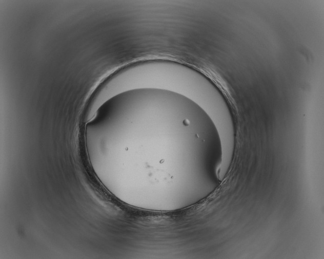 X0000111240108200907301314