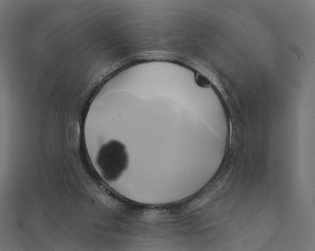 X0000111240109200907301314