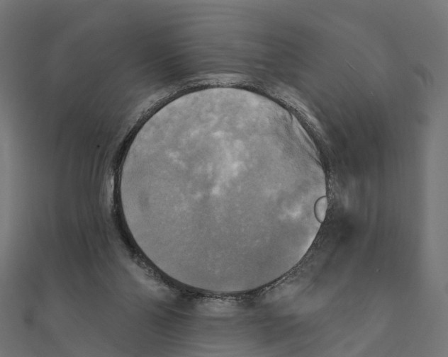 X0000111240110200907301314