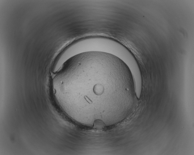 X0000111240112200907301314