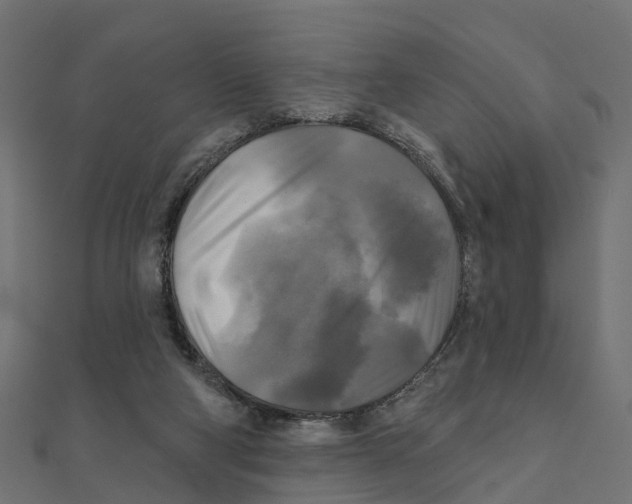 X0000111240114200907301314