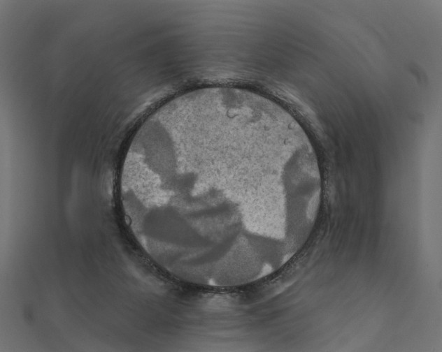 X0000111240115200907301314