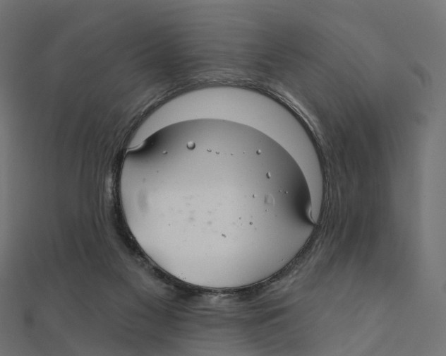 X0000111240117200907301314