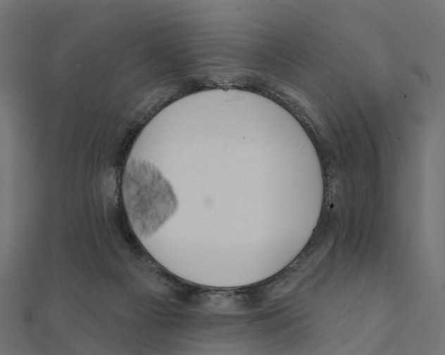 X0000111240121200907301314