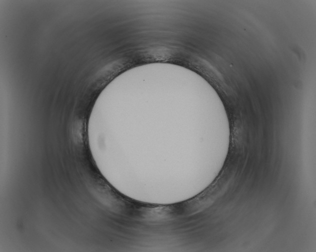 X0000111240122200907301314