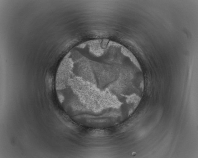 X0000111240123200907301314