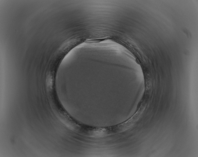 X0000111240124200907301314