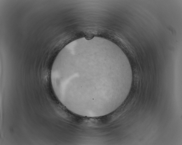 X0000111240125200907301314