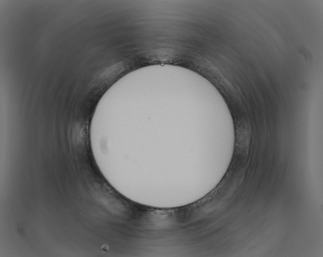 X0000111240126200907301314