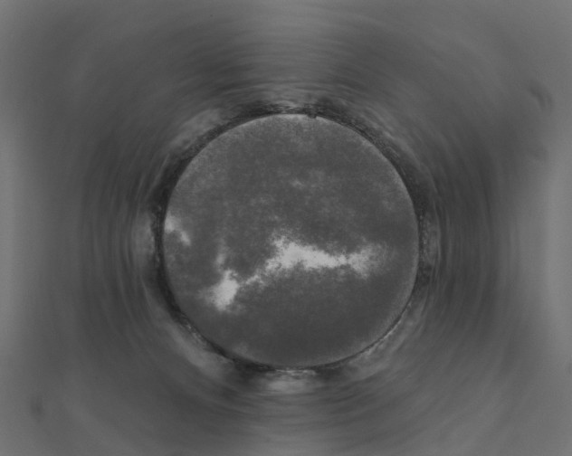 X0000111240128200907301314