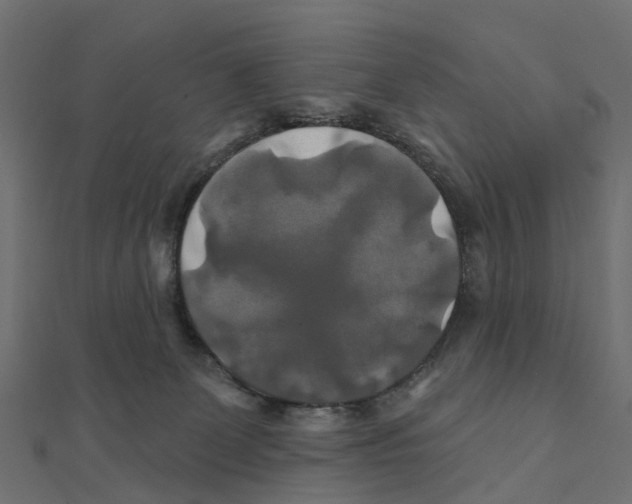 X0000111240131200907301314